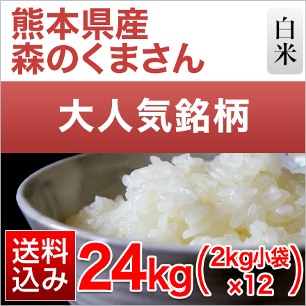 白米 熊本県産 森のくまさん 2kg×12袋 24kg 令和7年産