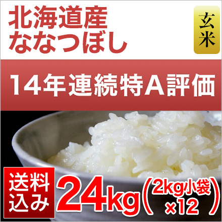 玄米 北海道産 ななつぼし 24kg 2kg×12袋 特A評価 令和6年産