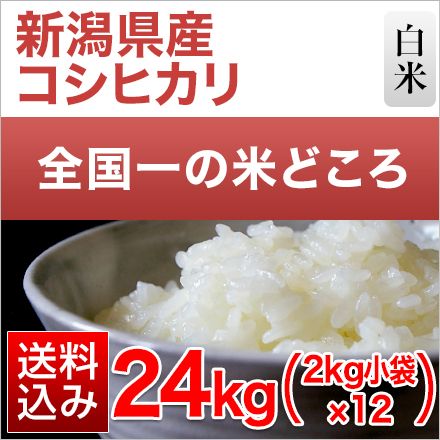 白米 新潟県産 コシヒカリ 24kg 2kg×12袋 令和7年産