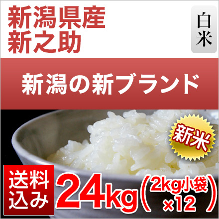 新米 白米 新潟県産 新之助 24kg 2kg×12袋 令和6年産