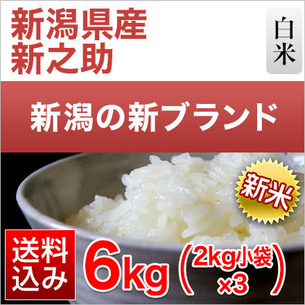 新米 白米 新潟県産 新之助 6kg 2kg×3袋 令和6年産