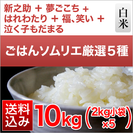 白米 ごはんソムリエ厳選 5種食べ比べ はれわたり＋泣く子もだまる米＋夢ごこち＋新之助＋福、笑い 10kg 2kg×5袋 令和6年産