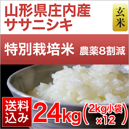 玄米 山形県庄内産 ササニシキ 24kg 2kg×12袋 特別栽培米 令和7年産
