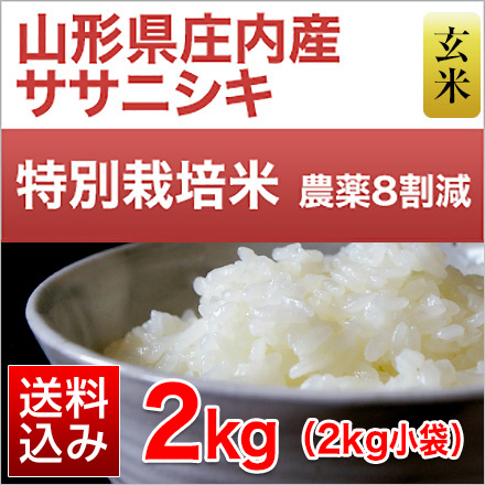玄米 山形県庄内産 ササニシキ 2kg 特別栽培米 令和7年産