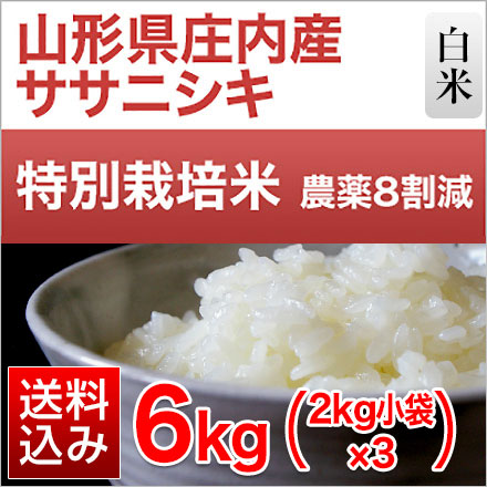 白米 山形県庄内産 ササニシキ 6kg 2kg×3袋 特別栽培米 令和7年産