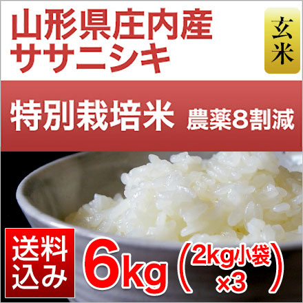 玄米 山形県庄内産 ササニシキ 6kg 2kg×3袋 特別栽培米 令和7年産