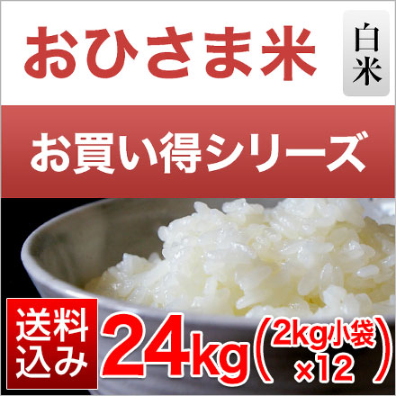 白米 おひさま米 栃木県産 とちぎの星 24kg 2kg×12袋 令和7年産