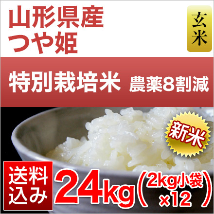 新米 玄米 山形県産 つや姫 24kg 2kg×12袋 特別栽培米 令和6年産