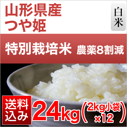 白米 山形県産 つや姫 24kg 2kg×12袋 特別栽培米 令和5年産