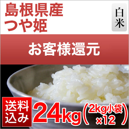 白米 島根県産 つや姫 24kg 2kg×12袋 令和7年産