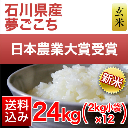 新米 玄米 石川県産 夢ごこち 24kg 2kg×12袋 特別栽培米 令和6年産