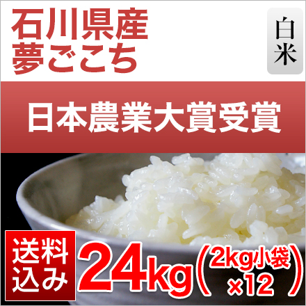 白米 石川県産 夢ごこち 24kg 2kg×12袋 特別栽培米 令和5年産