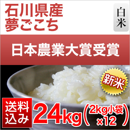 新米 白米 石川県産 夢ごこち 24kg 2kg×12袋 特別栽培米 令和6年産