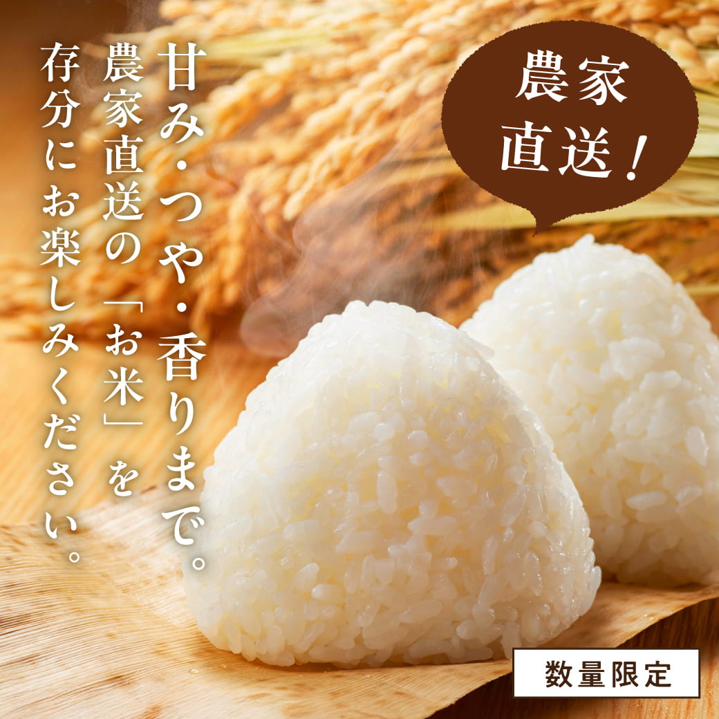 タマチャンショップ 宮崎産アキダワラ 精白米 10kg 令和7年産