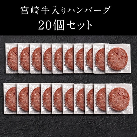 タマチャンショップ 宮崎牛入りハンバーグセット 160g×20個