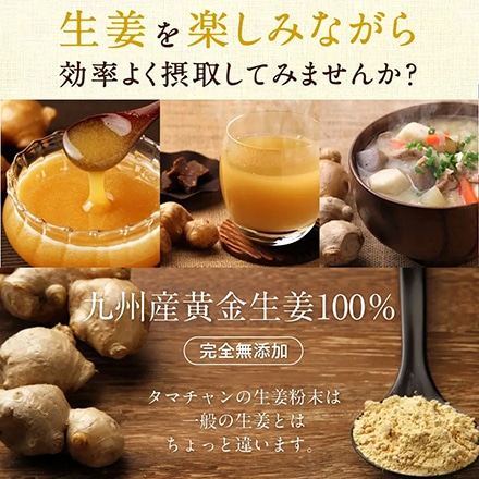 タマチャンショップ 生姜 粉末 みらいのしょうが 70ｇ