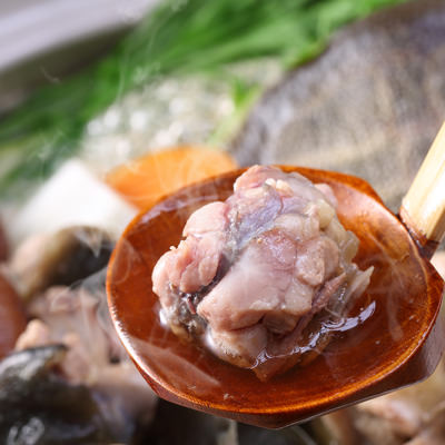 かけ流しの天然温泉で育てた柔らかさが自慢！　耶馬溪鍋用すっぽん切り身（冷凍）　耶馬溪すっぽん・大分県