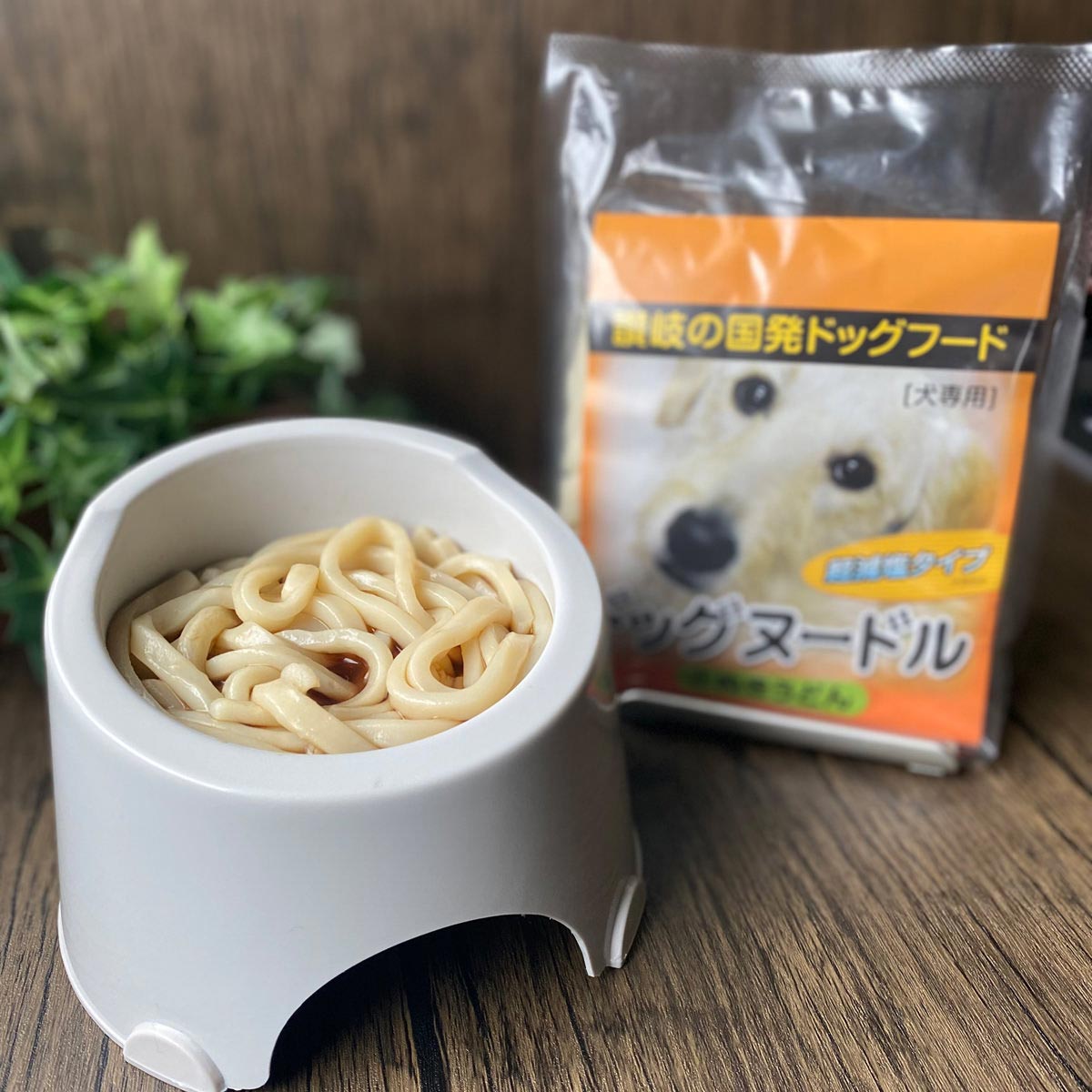 ペット用 ドッグヌードル 〔(めん150g、スープ5g)×3〕 ドッグフード