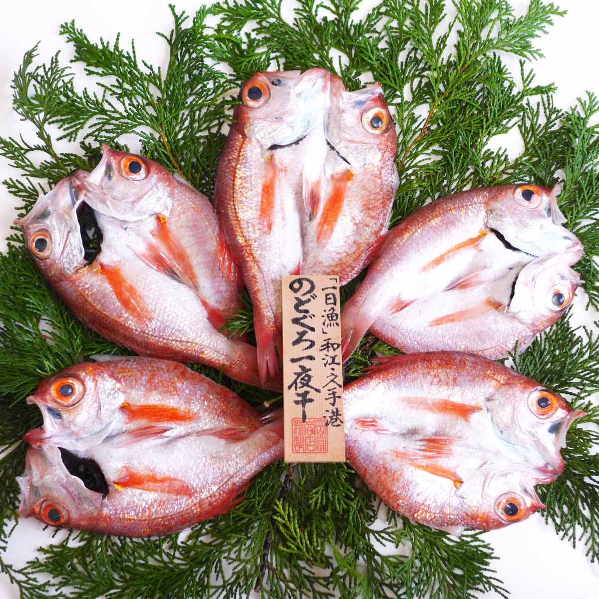 一日漁 のどぐろ 一夜干し 天日塩 岡富商店〔5～6枚 計410g〕ノドグロ 干物