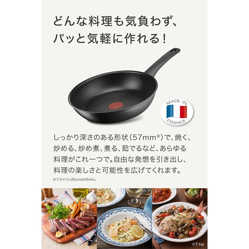 T-fal ティファール IHインスパイア ジェットグレー フライパン 24cm グレー G30404