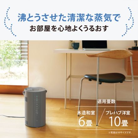 象印マホービン スチーム式加湿器 3.0L グレー EE-DF35-HA 加湿能力350mL/h
