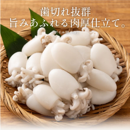 ボイル 甲イカ コウイカ