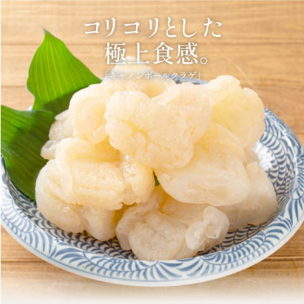 キャノンボールクラゲ 1kg