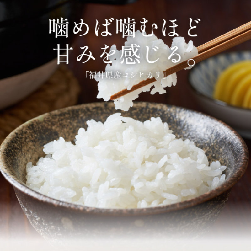 新米 福井県産 コシヒカリ 10kg 令和6年産