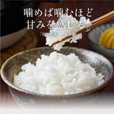 新米 福井県産 コシヒカリ 5kg 令和6年産