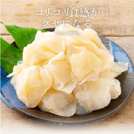 ミニクラゲ クラゲ 1kg