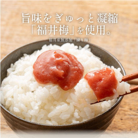 無添加 国産 ねり梅 種類が選べる 140g×2個セット