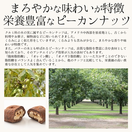 ピーカンナッツ チョコレート 100g（1袋） キャラメル掛け