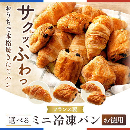 ミニ クロワッサン 冷凍パン 20個 フランス産