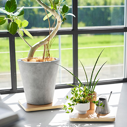 RIN リン インテリア低台車 スクエア ブラウン 10064