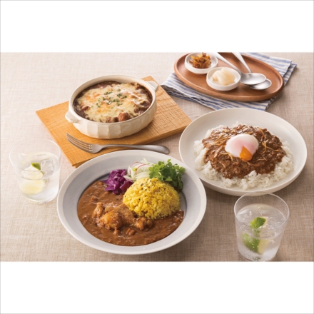 博多華味鳥 カレーセット 9食セット HCS-9A