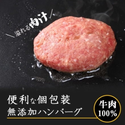 牛肉100% 無添加 ハンバーグ 味付き 個包装 120g×10個