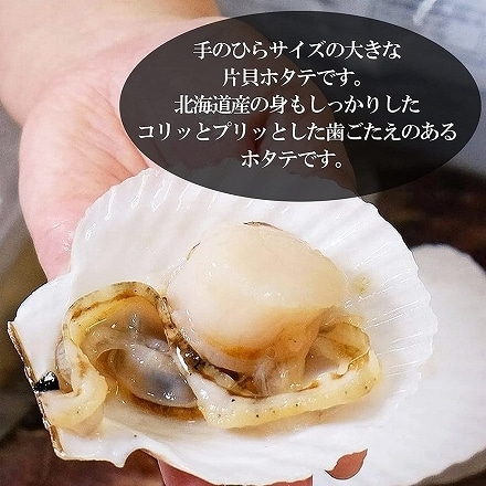 北海道産 ホタテ殻付き 片貝ほたて 1袋 10枚入