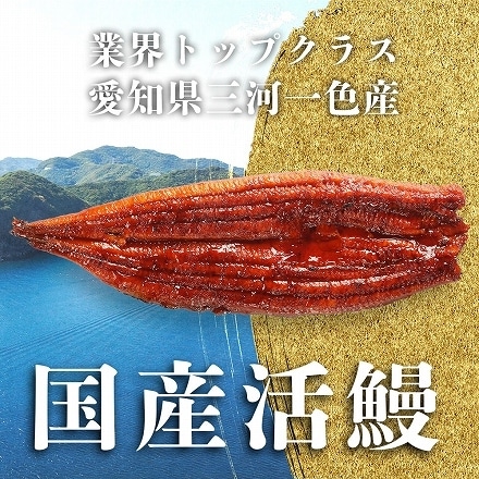 ギフト 鰻 愛知県三河一色産 うなぎの蒲焼き大サイズ (160-180g×2尾)