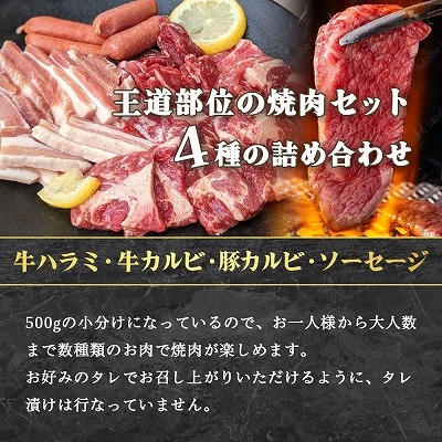 焼肉 BBQ セット 4種盛り 500g 約2人前 ハラミ カルビ ウィンナー