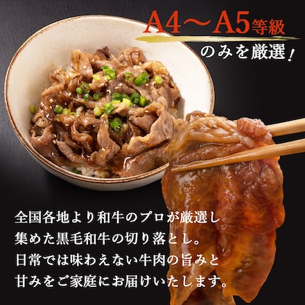 黒毛和牛 切り落とし A4-A5等級 800g(200g×4p)