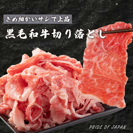 黒毛和牛 切り落とし 1kg (250g×4p) 牛肉 小分け 大容量