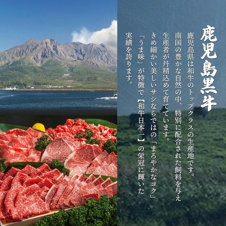 A4-5等級 鹿児島黒牛 特選 焼肉セット 厚切り 【 上カルビ 上ロース 】300g 焼肉 セット