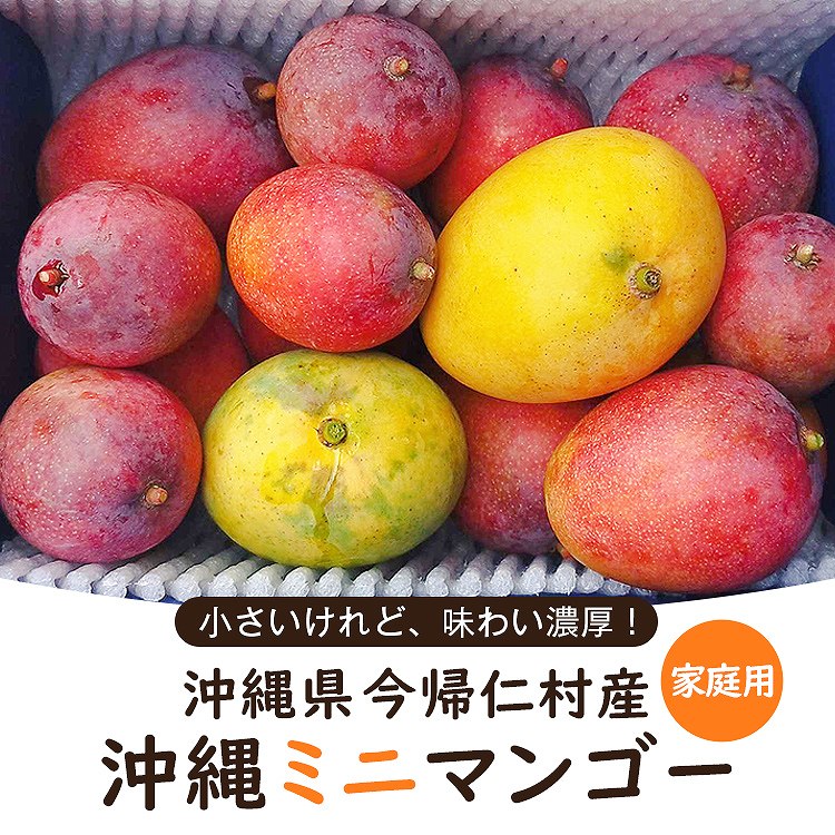 ミニマンゴー 1kg 沖縄県産 1ー3種程度 ご家庭用 マンゴー 冷蔵便 同梱不可 指定日不可