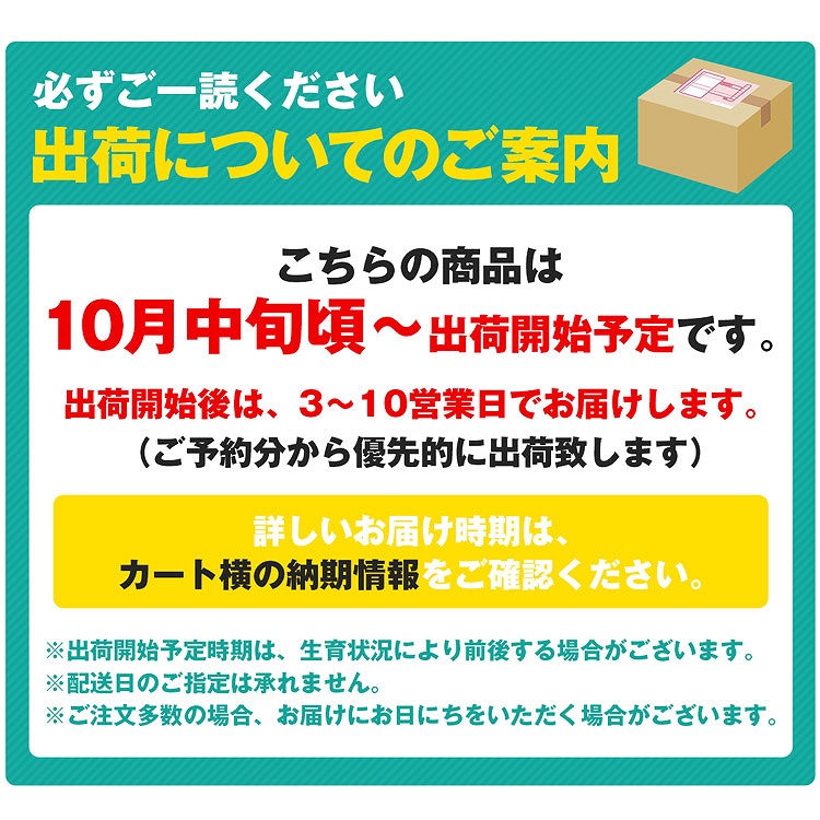 みかん 3kg 糖度12度以上 プレミアム 秀品 福岡県産 華たちばな 蜜柑 ミカン 産直 常温便 同梱不可 指定日不可