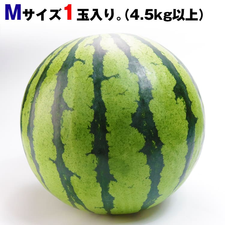すいか 熊本県産 秀品 1玉 Mサイズ 4.5kg以上 西瓜 スイカ JA鹿本 常温便 同梱不可 指定日不可