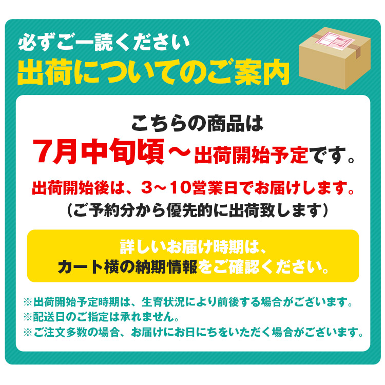 桃 ギフト 3.2kg (1.6kg×2箱セット) 青秀以上 品種厳選 産地厳選 お供え 手土産 贈答用 モモ もも フルーツ 冷蔵便 同梱不可 指定日不可