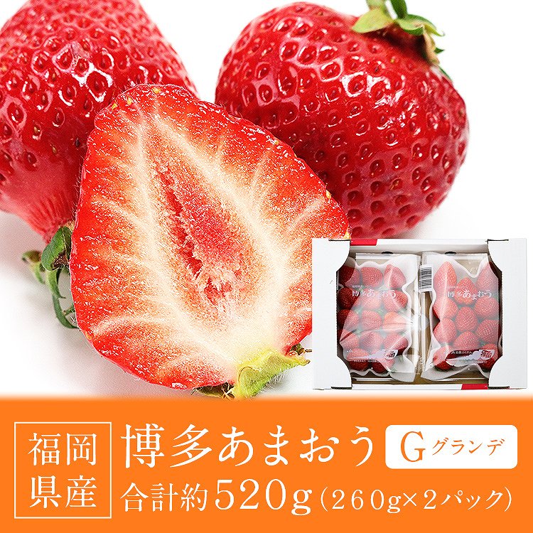 あまおう いちご 福岡 ご家庭用 G 2パック 約520g (1パック約260g) 博多あまおう 冷蔵便 同梱不可 指定日不可