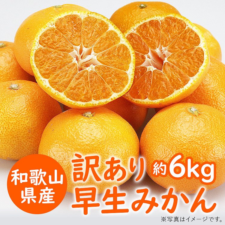 訳あり みかん 6.3kg (6kg+保証分300g程度) 3kgx2箱セット 和歌山県産 早生みかん 温州みかん ミカン 蜜柑 柑橘 わけあり 常温便 同梱不可 指定日不可
