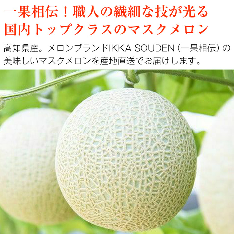 マスクメロン ギフト 高級 2玉 合計2.8kg 1玉1.4kg 良品 産地直送 高知県産 贈答用 産直 常温便 同梱不可 指定日不可