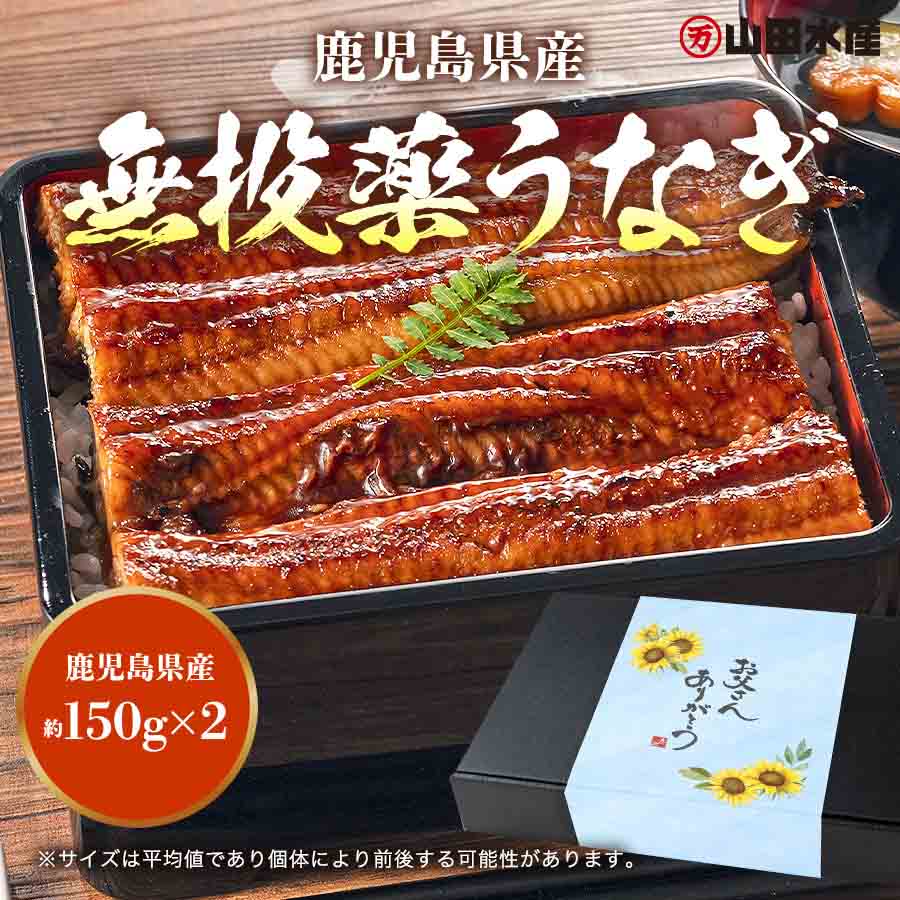 うなぎ 蒲焼き 父の日BOX ギフト 鹿児島県産 150g×2尾 無投薬 国産